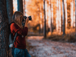 Do Equipment Matters More Than The Photographer? A Macro Photographer Reviews