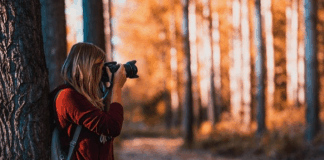 Do Equipment Matters More Than The Photographer? A Macro Photographer Reviews