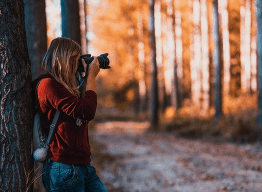 Do Equipment Matters More Than The Photographer? A Macro Photographer Reviews