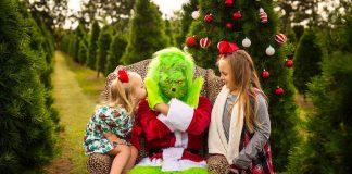 American Photographer Crushing it With Her “The Grinch” Strategy