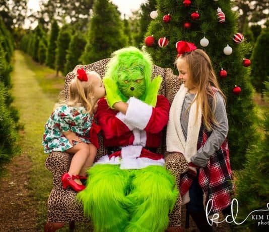 American Photographer Crushing it With Her “The Grinch” Strategy
