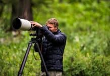 Best Tips for capturing nature photography