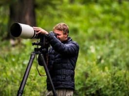 Best Tips for capturing nature photography