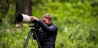 Best Tips for capturing nature photography