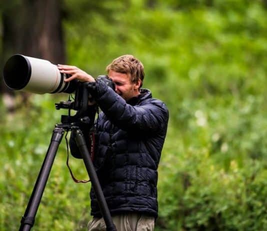 Best Tips for capturing nature photography