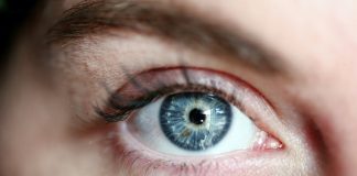 How Long Does It Take For Lashes To Grow Back?