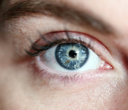 How Long Does It Take For Lashes To Grow Back?