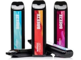 Are Disposable Vaping Devices the Future of E-Cigarettes?