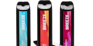 Are Disposable Vaping Devices the Future of E-Cigarettes?