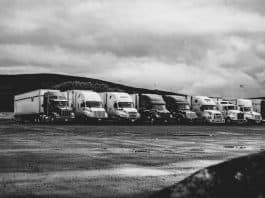 Master the Road: Top CDL School Tips for Success