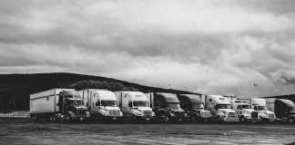 Master the Road: Top CDL School Tips for Success