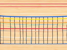 Volleyball Net Height Standards & Regulations volleyball net height guidelines