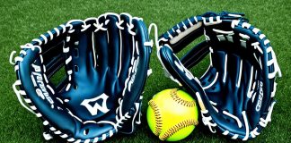 Softball vs. Baseball: Key Differences Explored Baseball and Softball Equipment