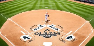 Understanding RHP in Baseball – Pitcher Positions Explained What does RHP mean