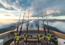 Explore Fishing Charters in Murrells Inlet Basics