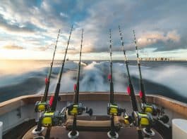 Explore Fishing Charters in Murrells Inlet Basics