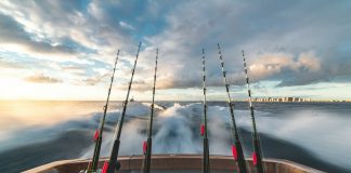 Explore Fishing Charters in Murrells Inlet Basics