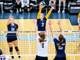 Understanding the 7 Positions in Volleyball volleyball roles in action